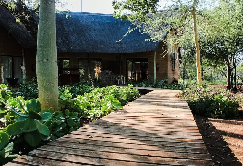 ホテル Zingela Nature Reserve   Leadwood Lodge