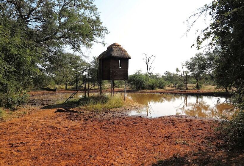 酒店 Zingela Nature Reserve   Leadwood Lodge