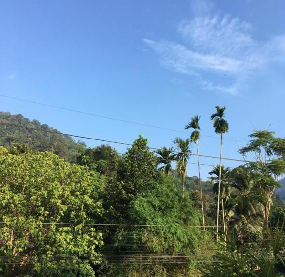 Khaosok Secret Hostel