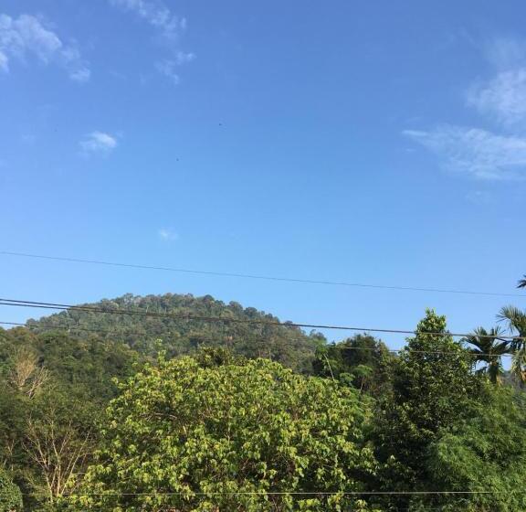 Khaosok Secret Hostel