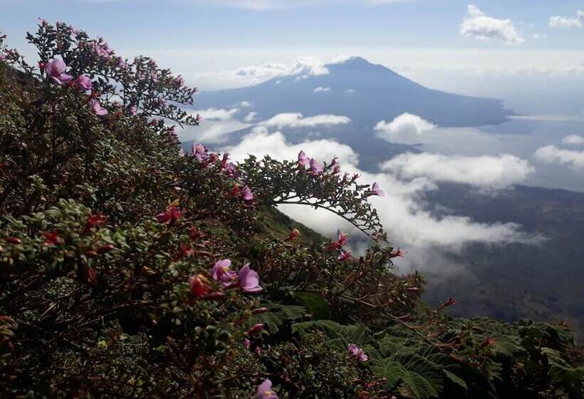 پانسیون Hospedaje Bananas