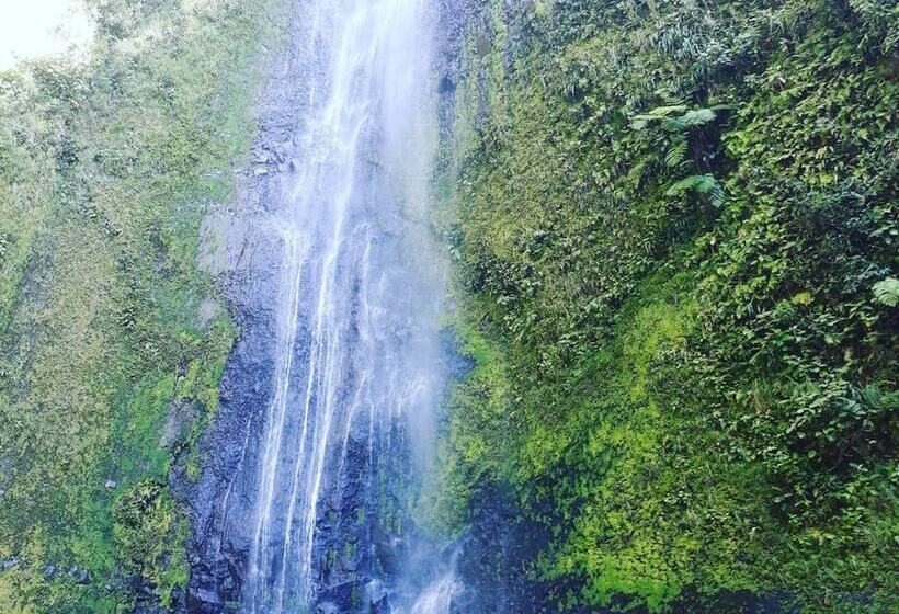 پانسیون Hospedaje Bananas