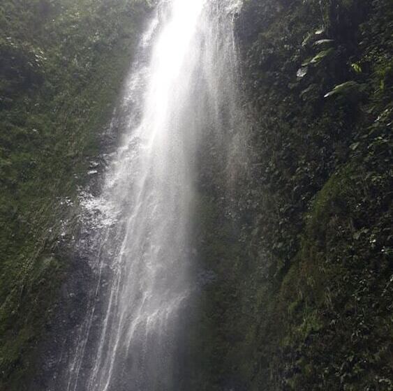 پانسیون Hospedaje Bananas