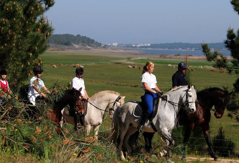 Wecamp Reserva Alecrim