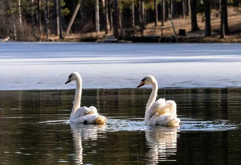Shishki Na Lampushke   Finnish Kalevala