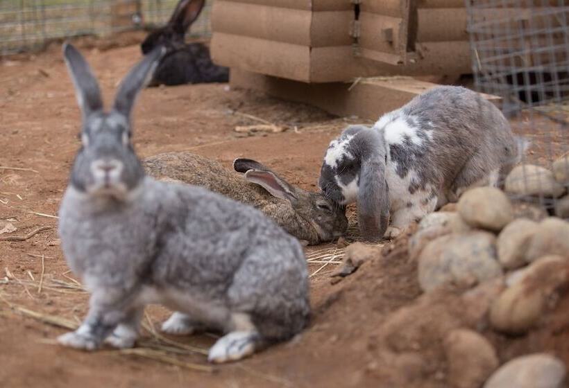 Shishki Na Lampushke   Finnish Kalevala