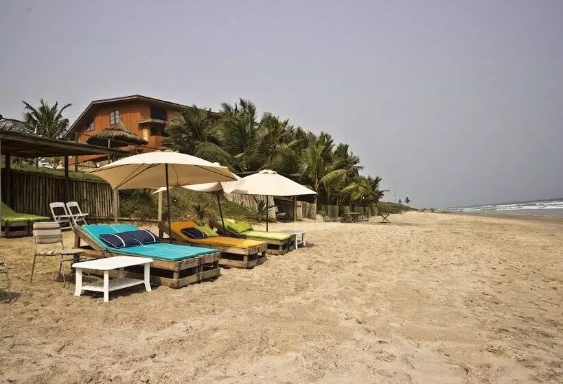 ベッドアンドブレックファースト Cliff Haven Beach Resort