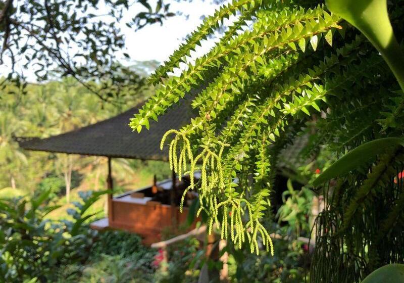 Bed and Breakfast Clove Tree Hill