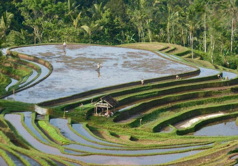Bed and Breakfast Clove Tree Hill