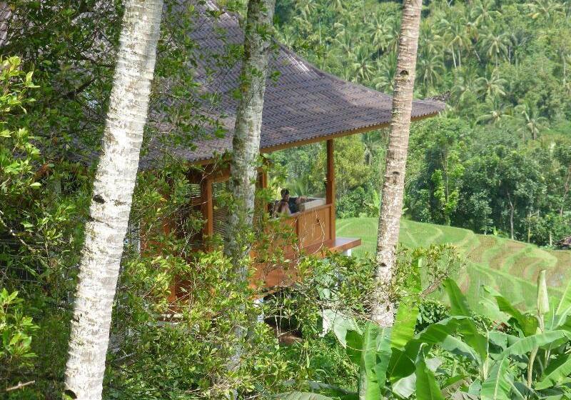 Bed and Breakfast Clove Tree Hill