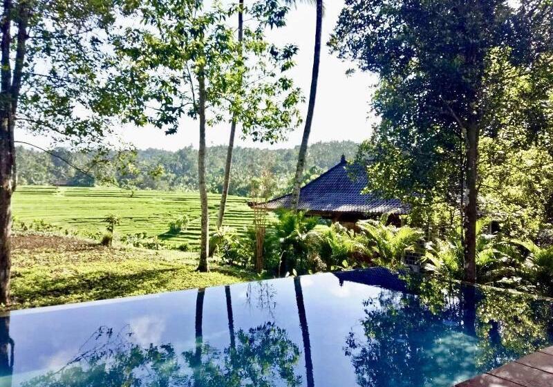 Bed and Breakfast Clove Tree Hill