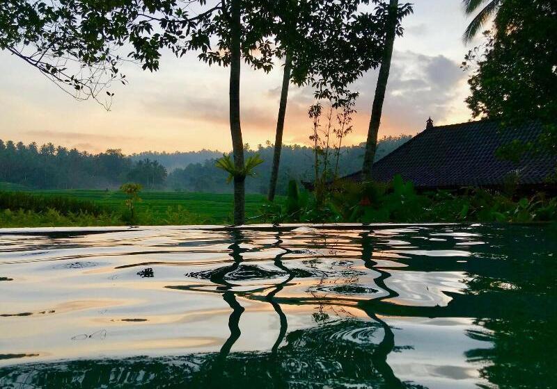 Bed and Breakfast Clove Tree Hill