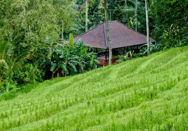 Bed and Breakfast Clove Tree Hill