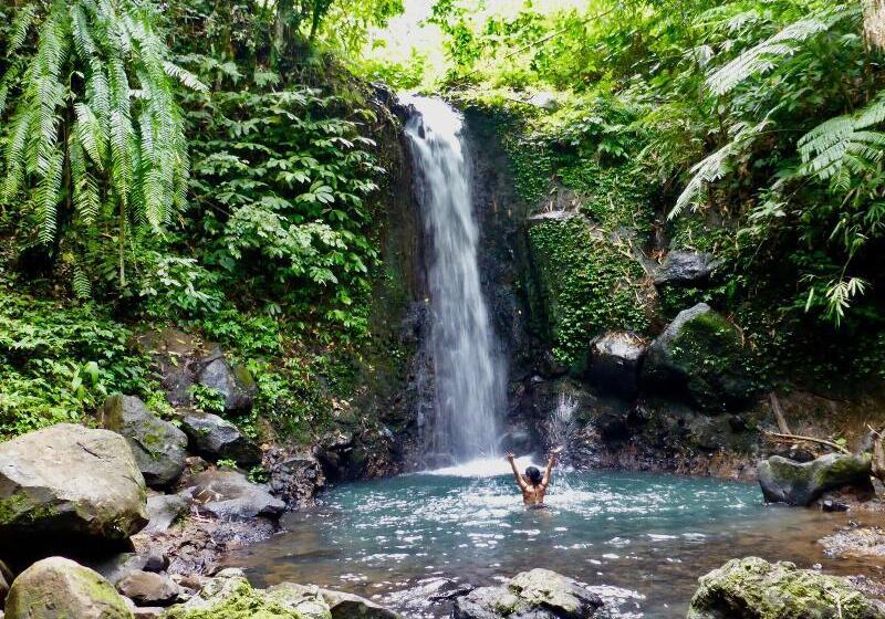 Bed and Breakfast Clove Tree Hill