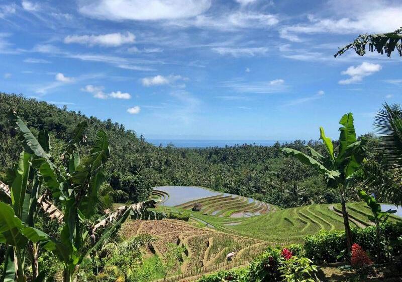 Bed and Breakfast Clove Tree Hill