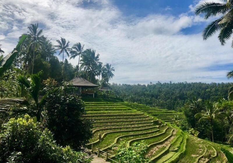 Bed and Breakfast Clove Tree Hill