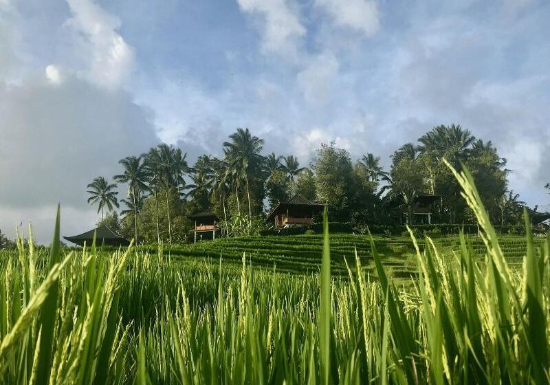 Bed and Breakfast Clove Tree Hill