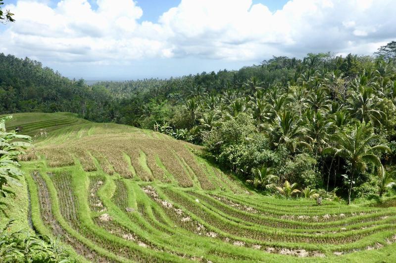 Bed and Breakfast Clove Tree Hill