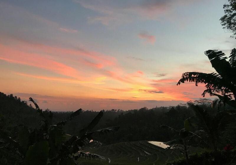 Bed and Breakfast Clove Tree Hill