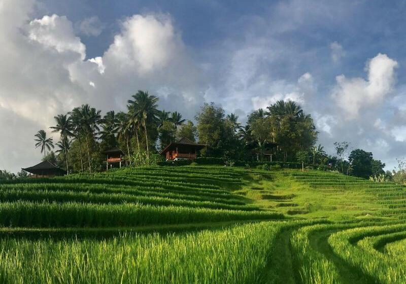 Bed and Breakfast Clove Tree Hill