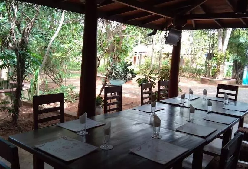 Aamiaismajoitus (B&B) L.l.tourist Inn & Safari Jeeps