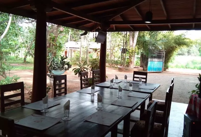 Aamiaismajoitus (B&B) L.l.tourist Inn & Safari Jeeps