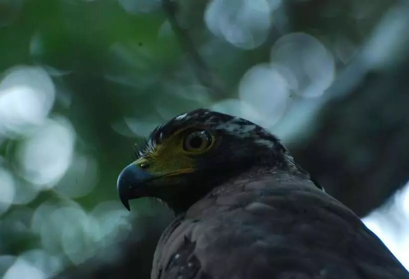 Aamiaismajoitus (B&B) L.l.tourist Inn & Safari Jeeps