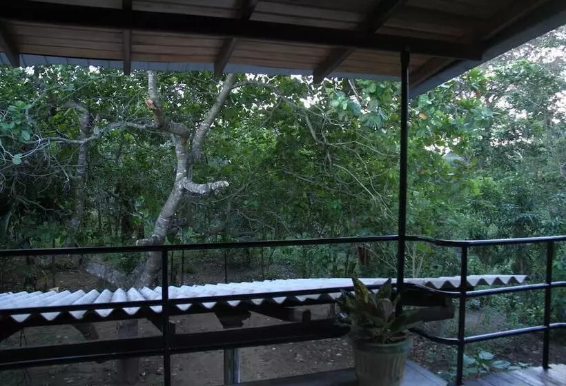 Aamiaismajoitus (B&B) L.l.tourist Inn & Safari Jeeps