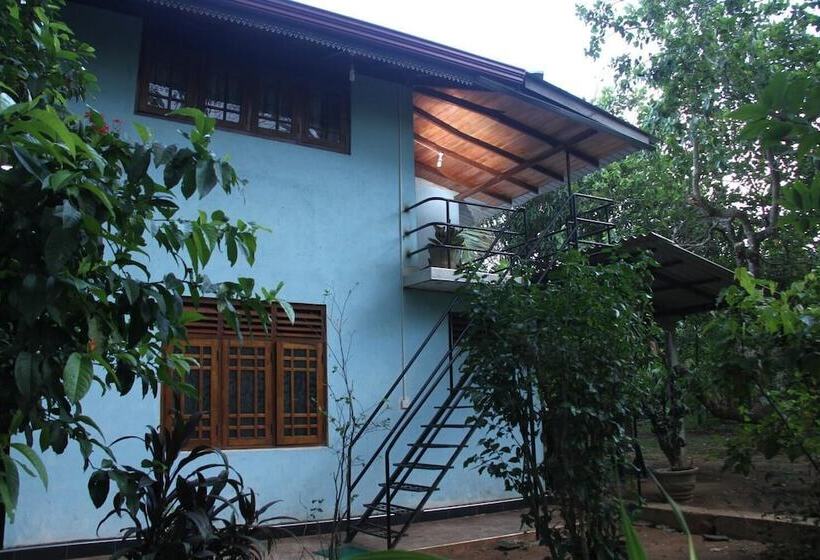 ベッドアンドブレックファースト L.l.tourist Inn & Safari Jeeps