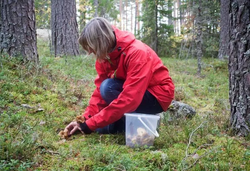Aamiaismajoitus (B&B) Ulvsbomuren Vildmark & Lantliv