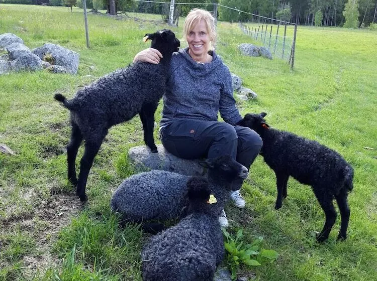 Aamiaismajoitus (B&B) Ulvsbomuren Vildmark & Lantliv