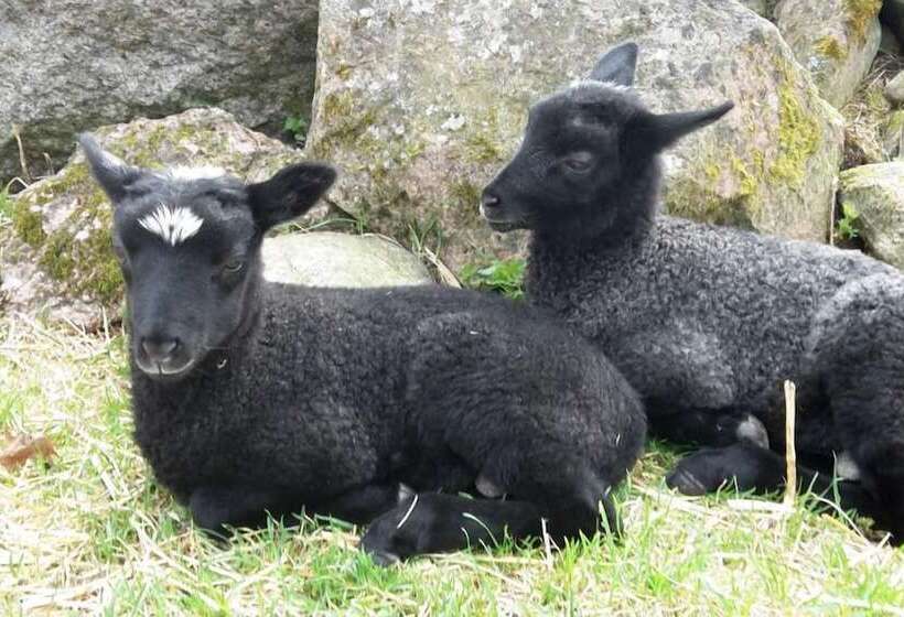 تختخواب و صبحانه Ulvsbomuren Vildmark & Lantliv