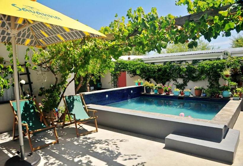 Daisy Darling Bed & Breakfast