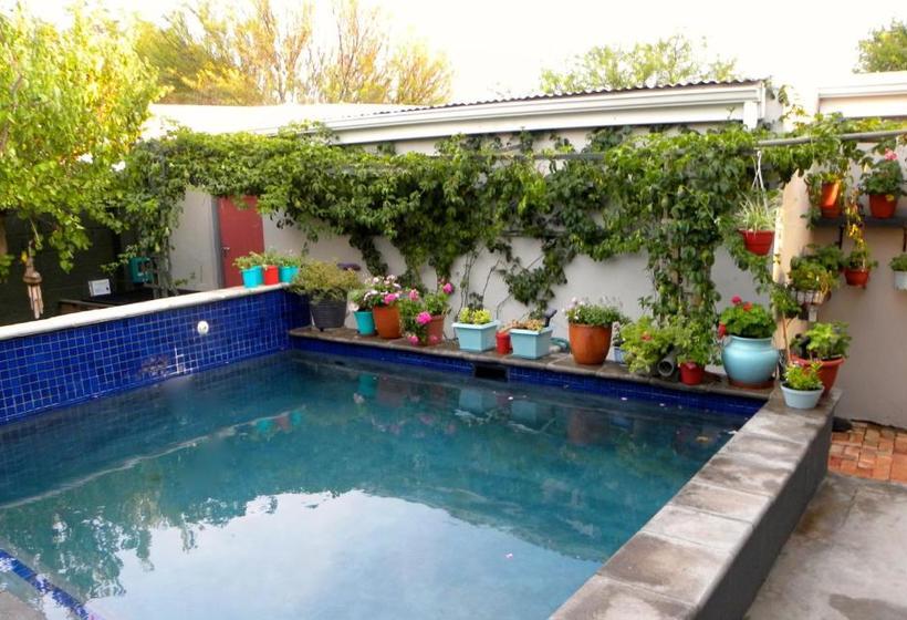 Daisy Darling Bed & Breakfast