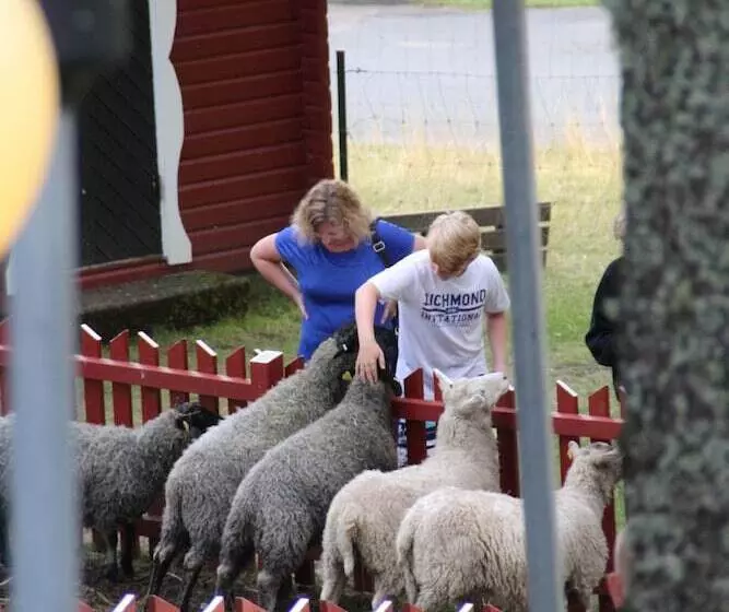 Eksjö Camping & Konferens   Hostel