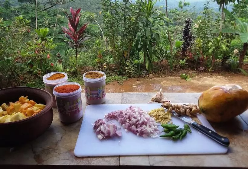 Hotelli Kurulu Estate