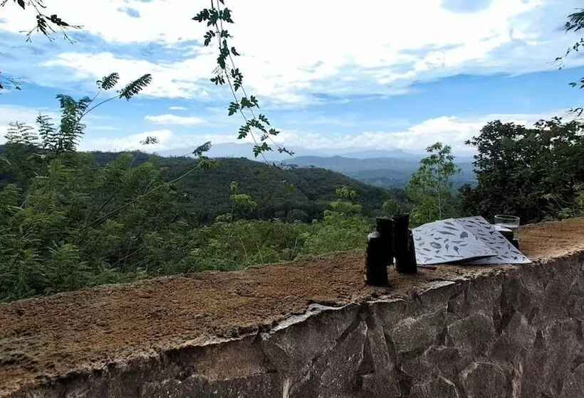 Hotelli Kurulu Estate