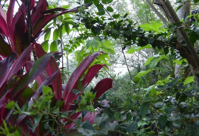 Hotelli Kurulu Estate