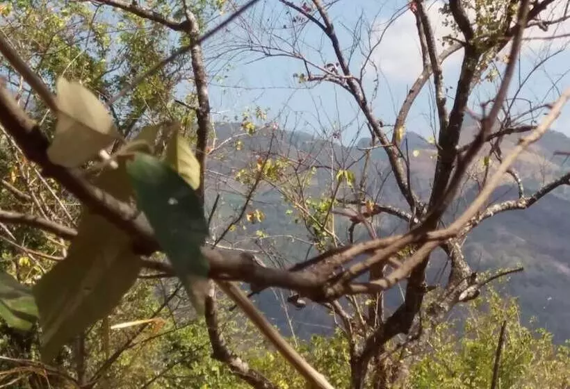 Hotelli Nalanda Relaxation And Caping Site