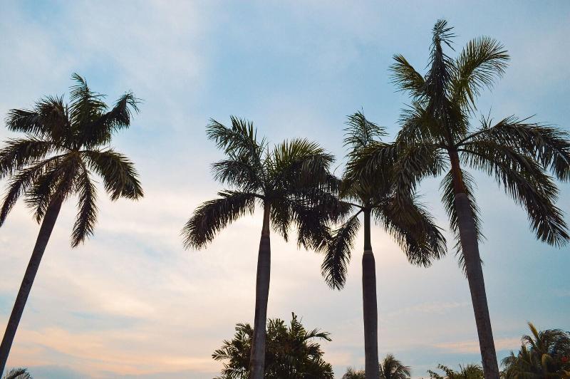 Tanza Oasis Hotel And Resort