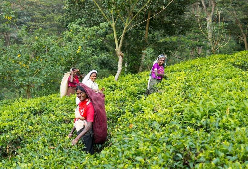 Пансион Ashburnham Estate