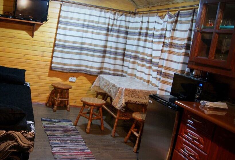 بنسيون Rakhiv Plai