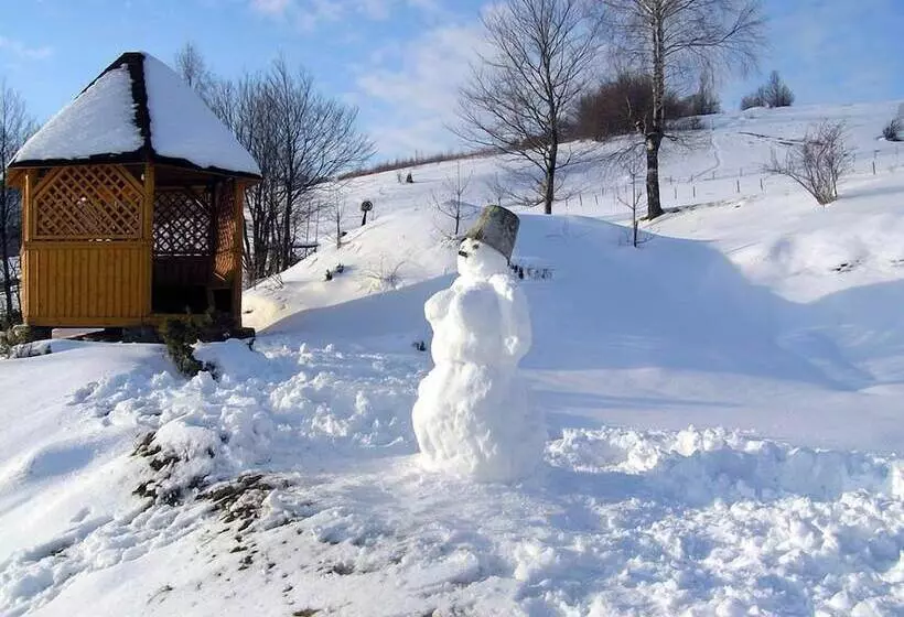 Majatalo Rakhiv Plai