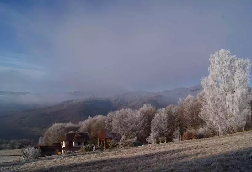 Majatalo Rakhiv Plai