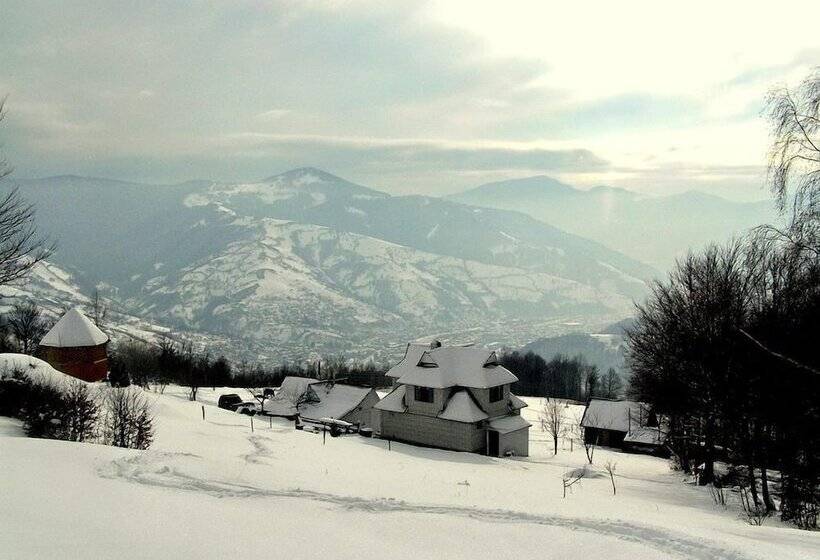 بنسيون Rakhiv Plai