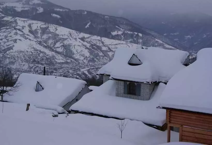 Majatalo Rakhiv Plai