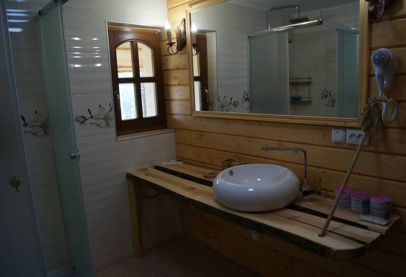 بنسيون Rakhiv Plai