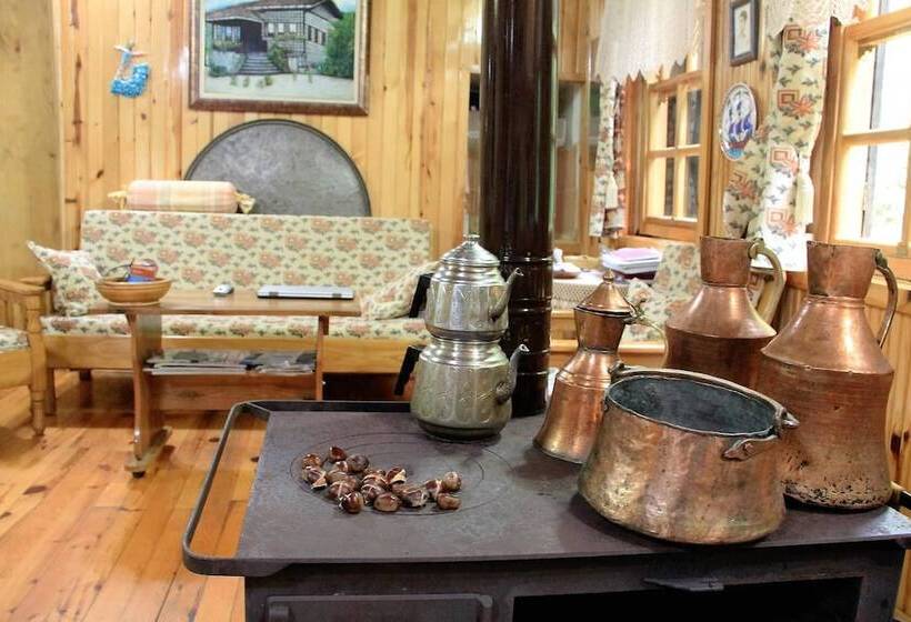 بنسيون Satiroglu Konagi