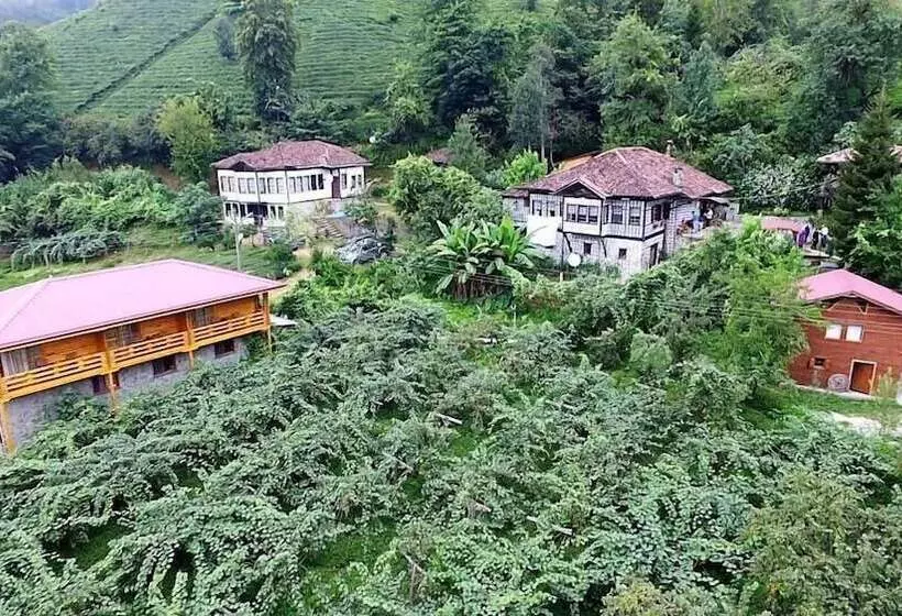 Majatalo Satiroglu Konagi