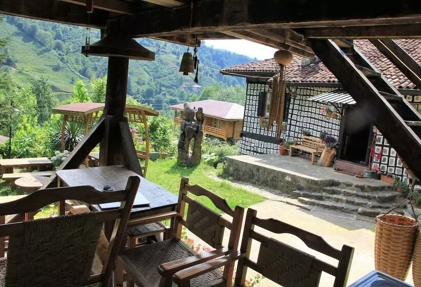 Majatalo Satiroglu Konagi